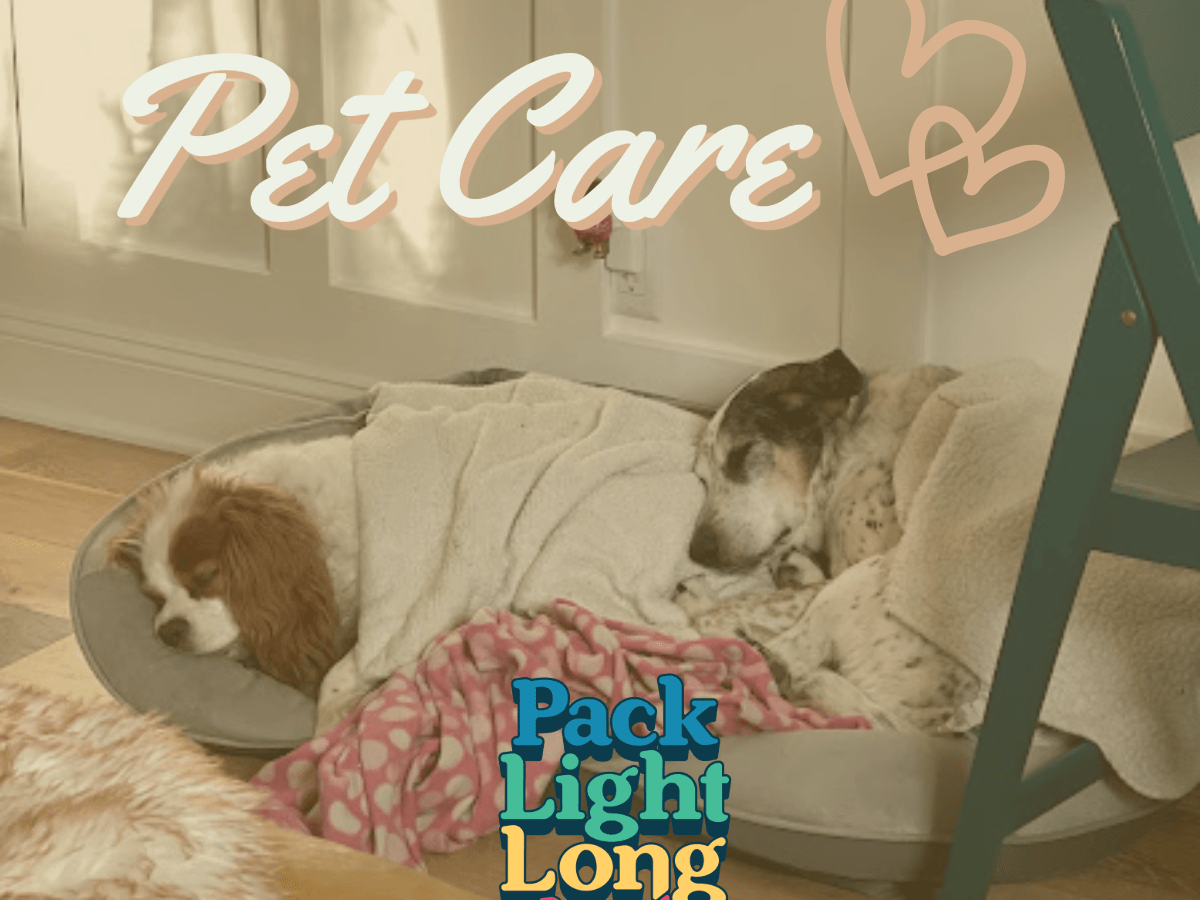 Pet Care While You are&nbsp;AWay!