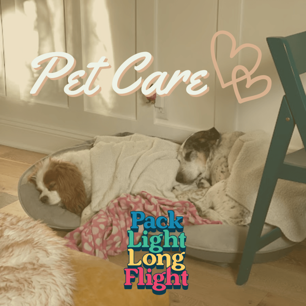 Pet Care While You are&nbsp;AWay!
